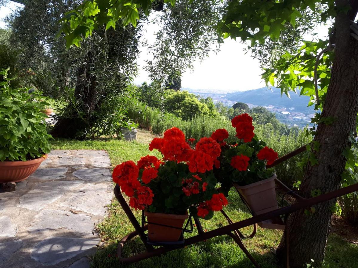 Bed and Breakfast La Gatta Sul Sentiero San Salvatore  Zewnętrze zdjęcie