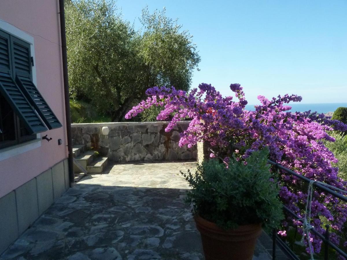 Bed and Breakfast La Gatta Sul Sentiero San Salvatore  Zewnętrze zdjęcie