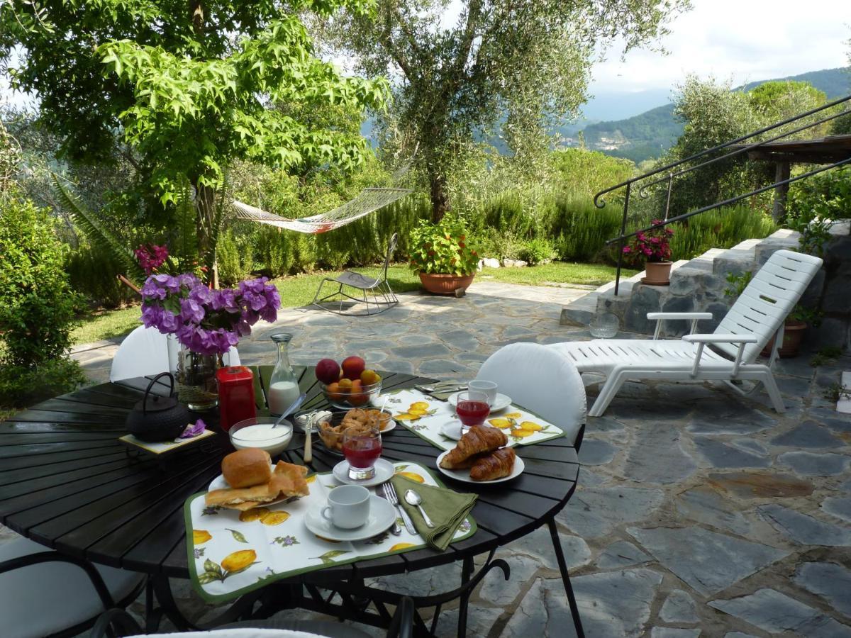 Bed and Breakfast La Gatta Sul Sentiero San Salvatore  Zewnętrze zdjęcie