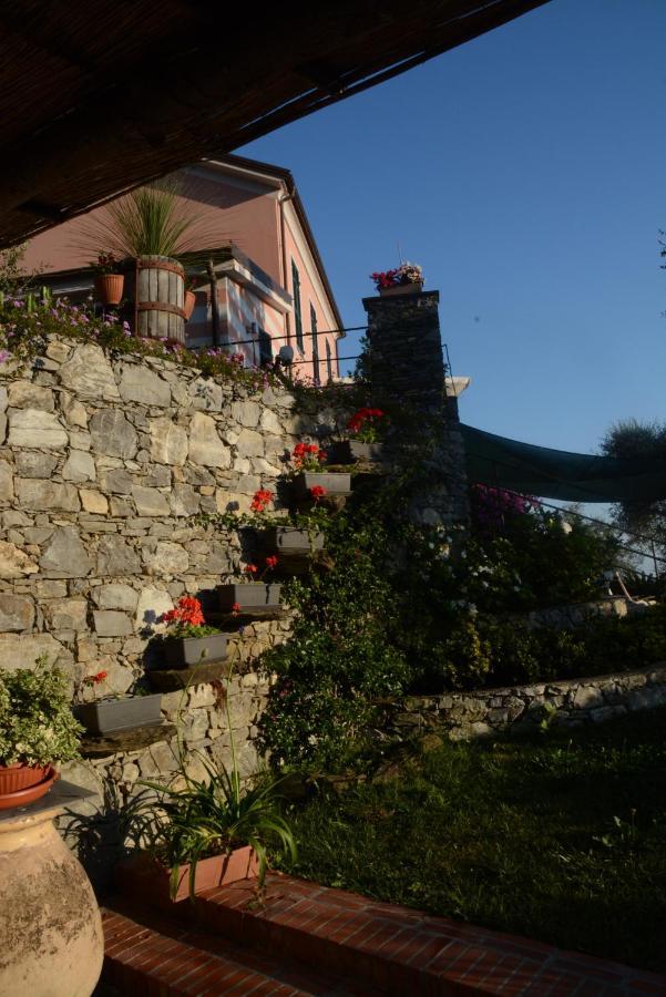 Bed and Breakfast La Gatta Sul Sentiero San Salvatore  Zewnętrze zdjęcie